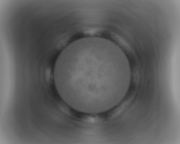 X0000113880420200909241356