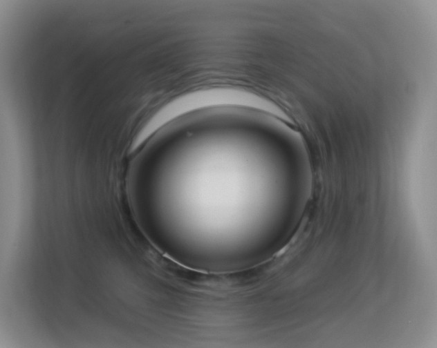 X0000113880423200909241356