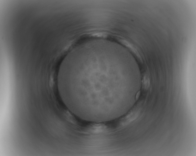 X0000113880424200909241356