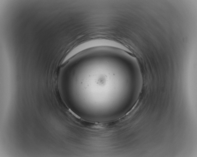 X0000113880425200909241356