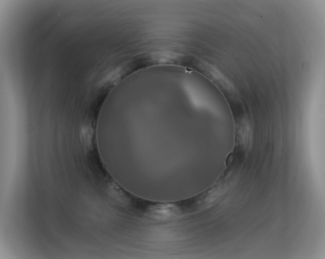 X0000113880427200909241356