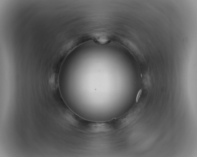 X0000113880428200909241356