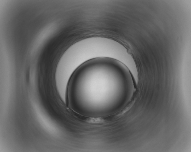 X0000113880429200909241356