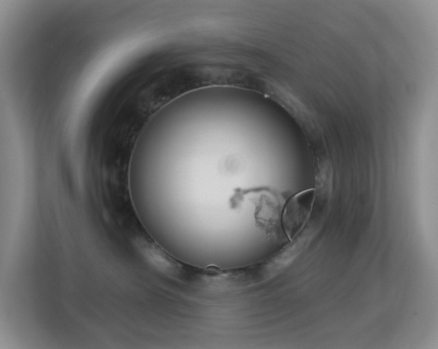 X0000113880430200909241356