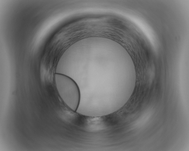 X0000113880431200909241356