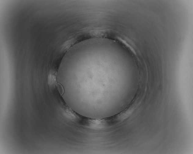 X0000113880432200909241356