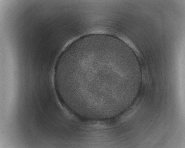 X0000113880434200909241355