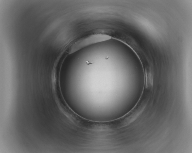 X0000113880435200909241356