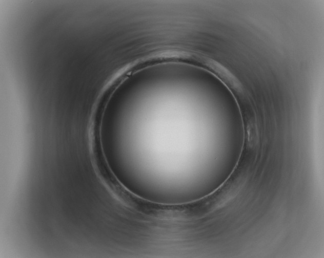 X0000113880436200909241356