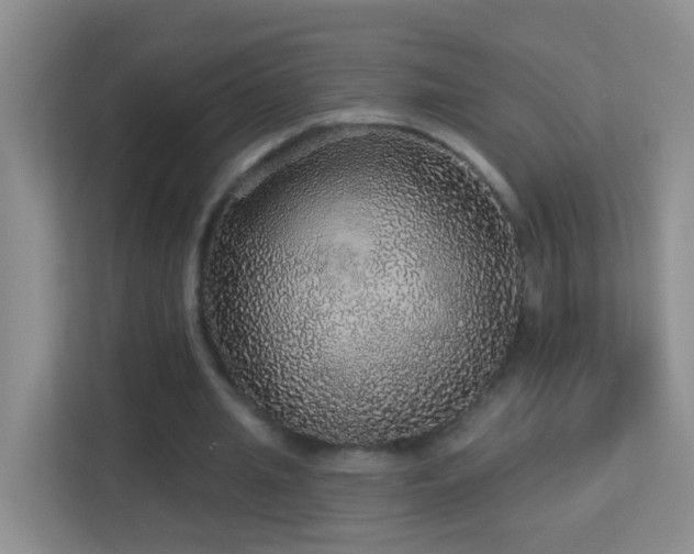 X0000113880437200909241356