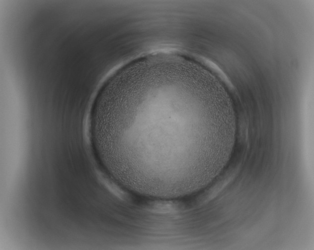 X0000113880439200909241356