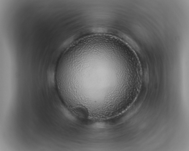 X0000113880441200909241356