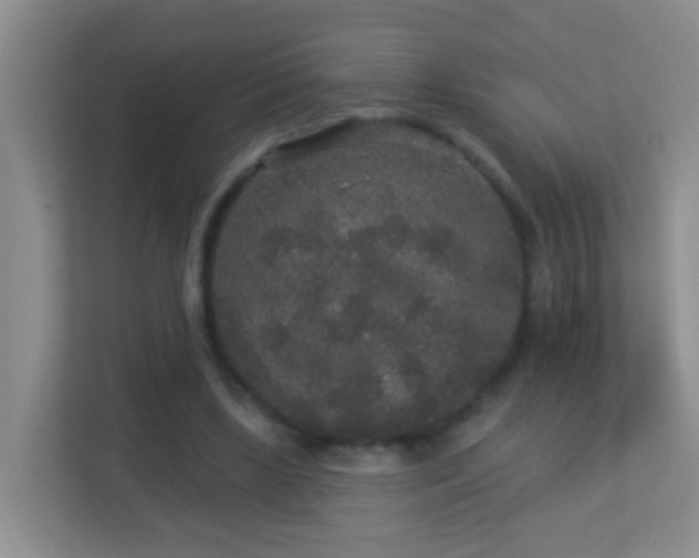 X0000113880443200909241356