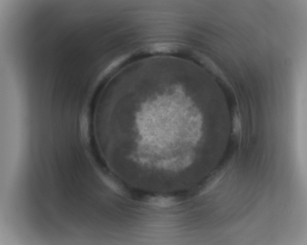 X0000113880444200909241356