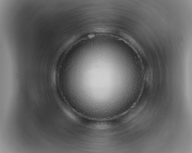 X0000113880445200909241356