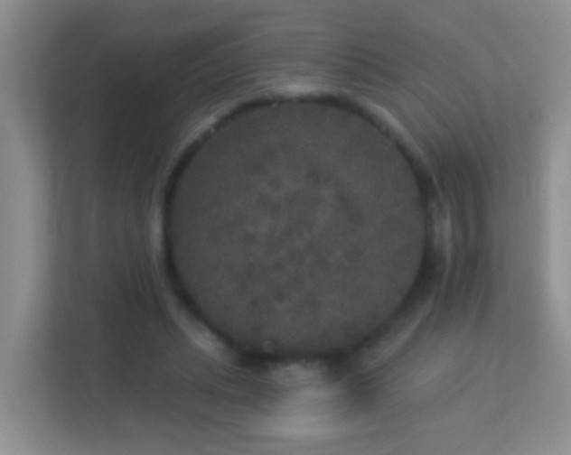 X0000113880447200909241356