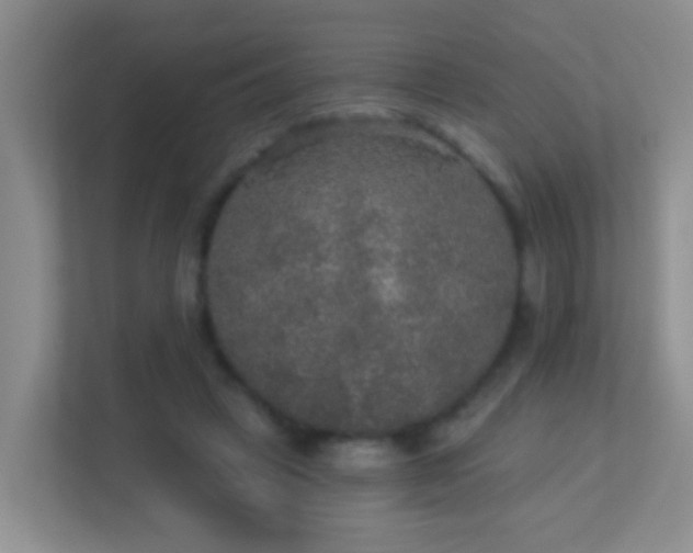 X0000113880449200909241356