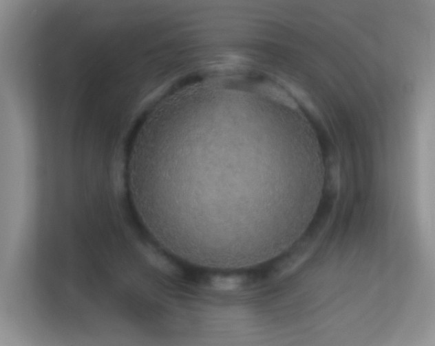 X0000113880450200909241356