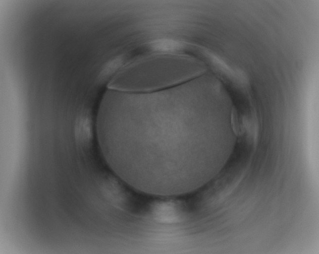 X0000113880452200909241356