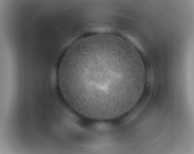X0000113880453200909241356