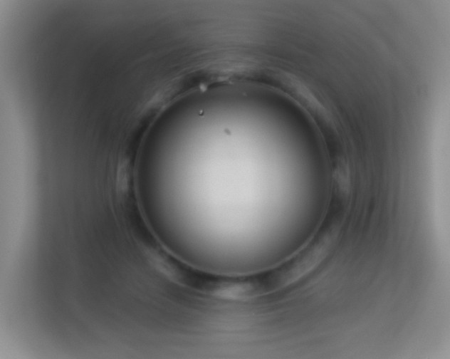 X0000113880458200909241356