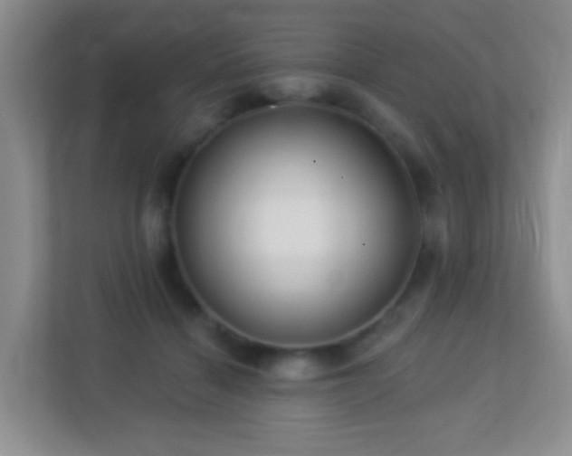 X0000113880460200909241356