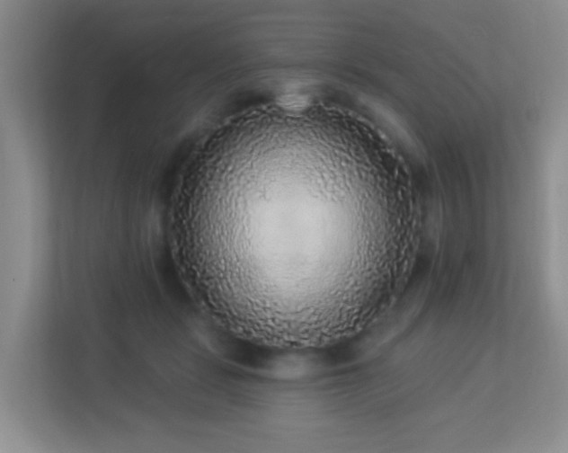 X0000113880461200909241356