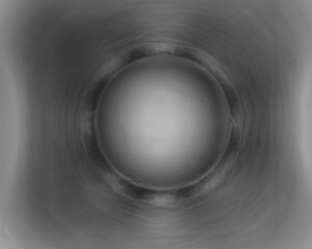 X0000113880462200909241356