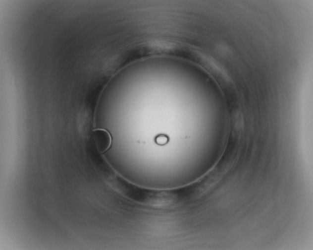 X0000113880463200909241356