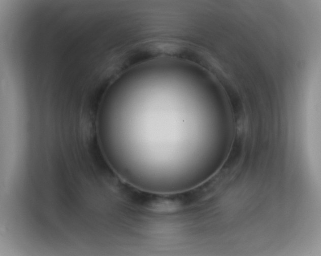 X0000113880464200909241356