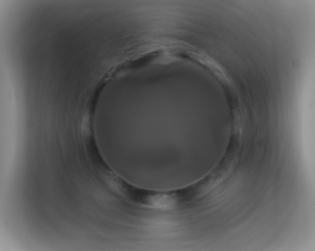 X0000113880465200909241356
