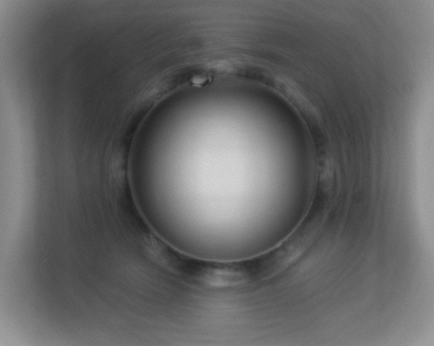 X0000113880466200909241356