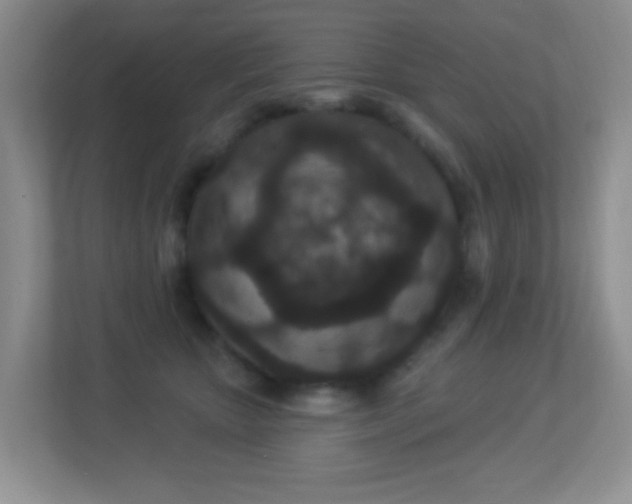 X0000113880467200909241356