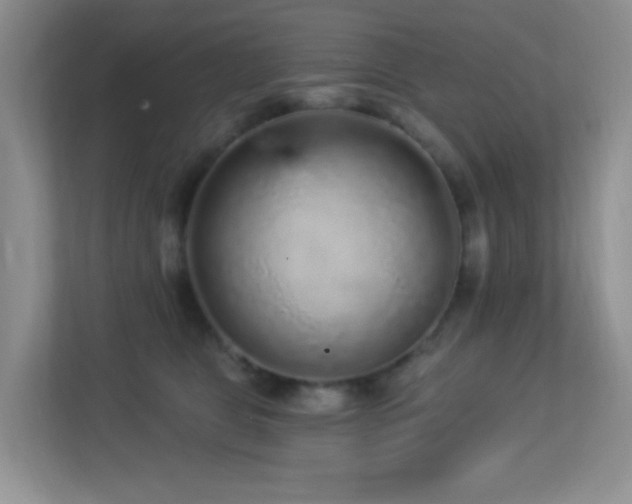 X0000113880469200909241356