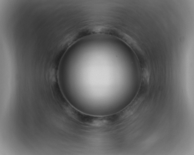 X0000113880470200909241356