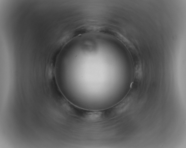 X0000113880474200909241356