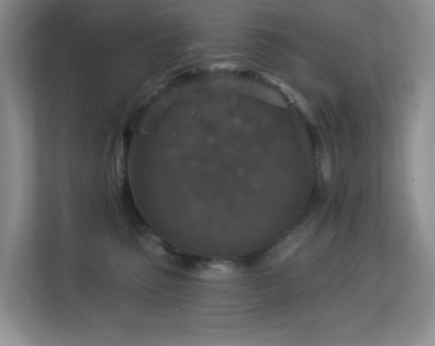 X0000113880475200909241356