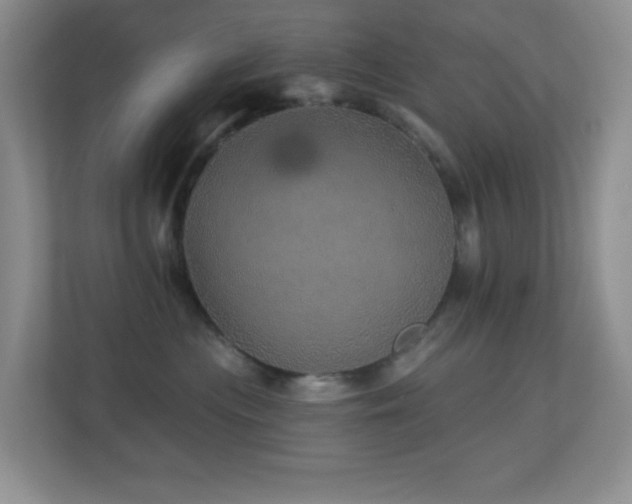 X0000113880477200909241356