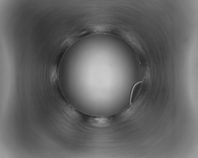 X0000113880478200909241356