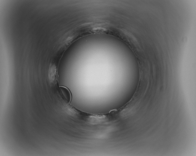 X0000113880480200909241356