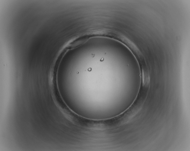 X0000113880483200909241355