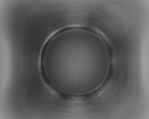 X0000113880484200909241355