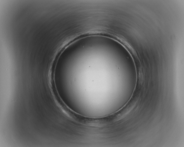 X0000113880485200909241355