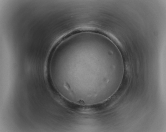 X0000113880487200909241355