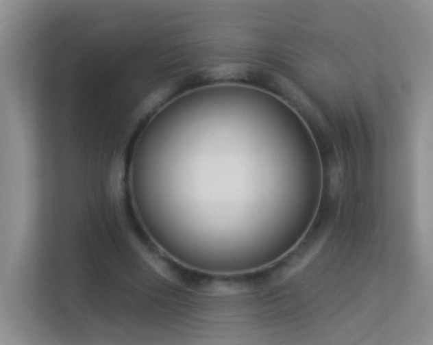 X0000113880490200909241355