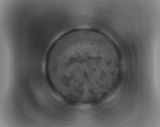 X0000113880491200909241355