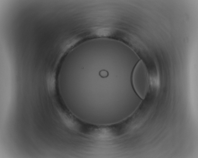 X0000113880492200909241355