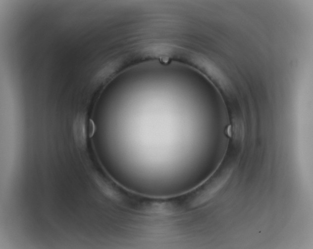 X0000113880493200909241355