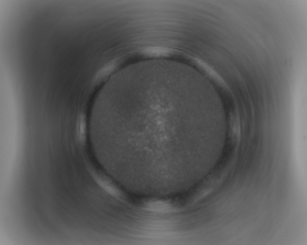 X0000113880494200909241355