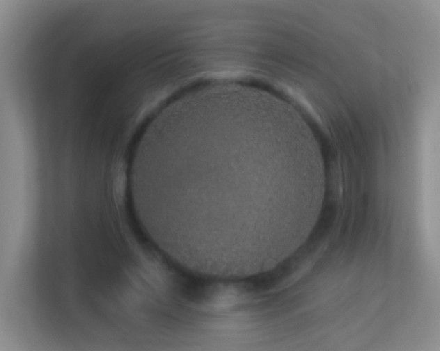 X0000113880495200909241355